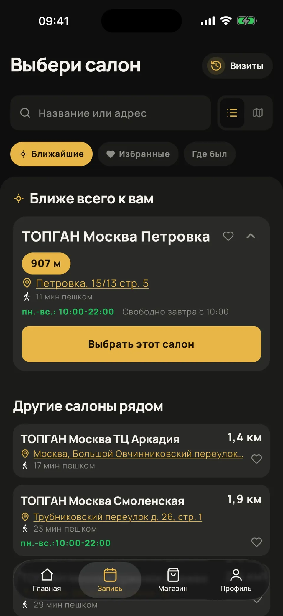 Экран приложения: Запись